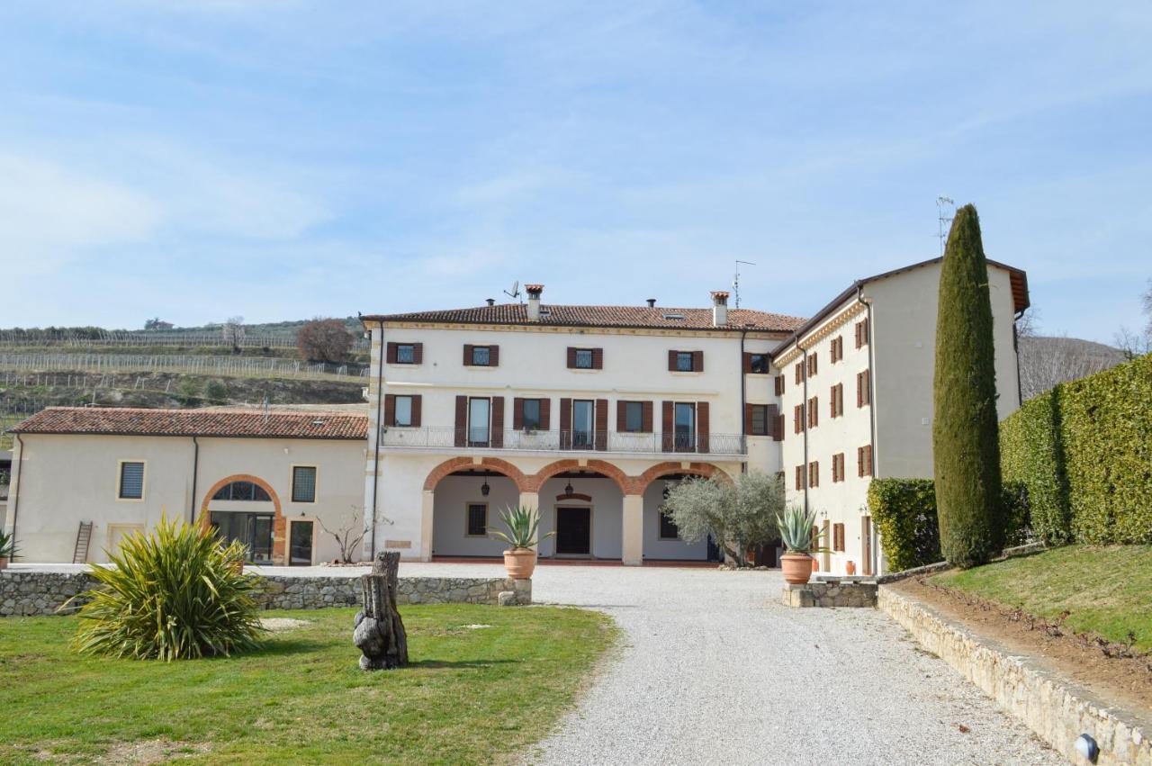 Verdeolivo 1876 - Apartments & Pool Mezzane di Sotto Exterior photo